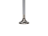 Manley 99-12 Ford 4.6L/281 5.4L/330 V8 37mm Race Series Stainless Steel Intake Valve - Single