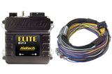 Haltech Elite 750 + Basic Universal Wire-in Harness Kit Length: 2.5m (8')