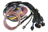 NEXUS R5 + Universal Wire-in Harness Kit - 2.5M / 8' Length: 2.5m (8')